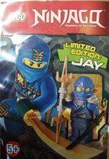 Jay minifigure