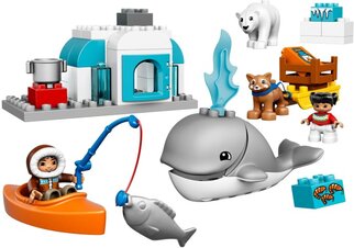 A new entry in Ninjago family