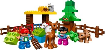 Animals