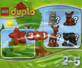 Forest - Deer